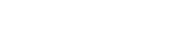 Sentraflow Solutions